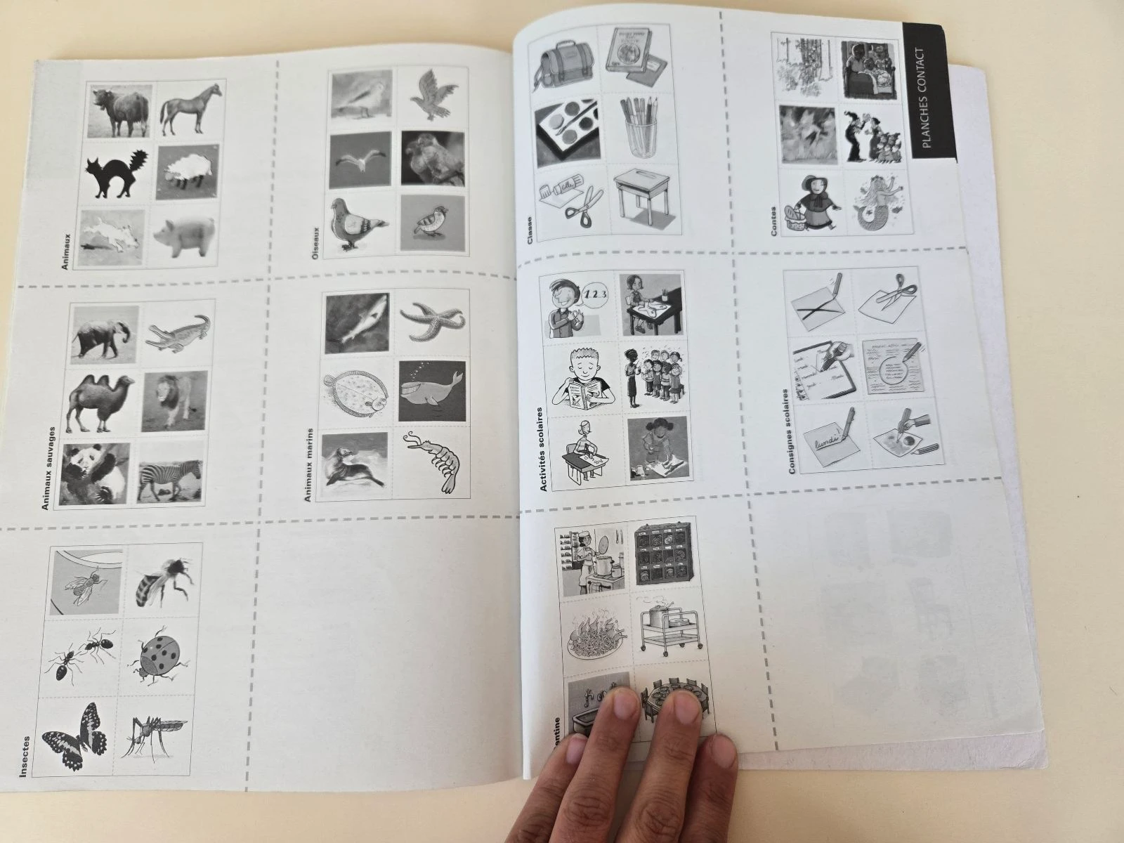 Fono GS CP – photo 6